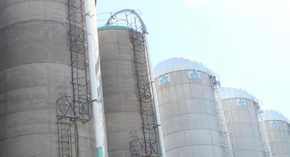 Where do silo gases come from and why are they dangerous? - Lactanet