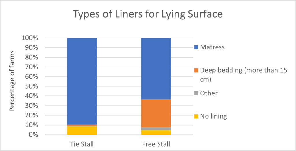 Types of Liners for Lying Surface