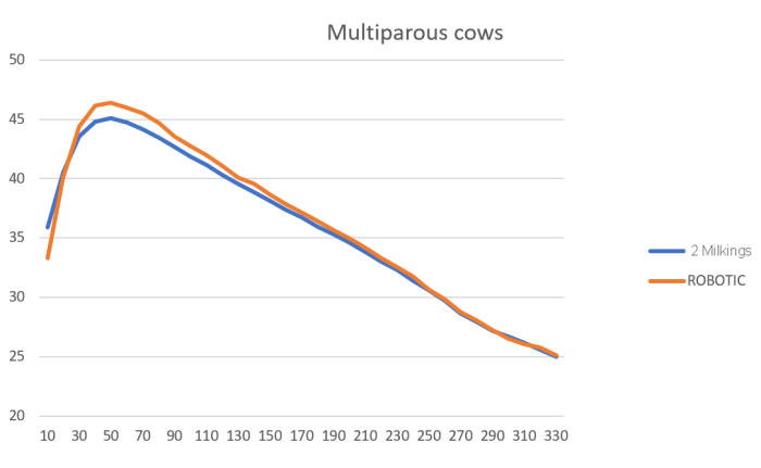 multiparous_cows